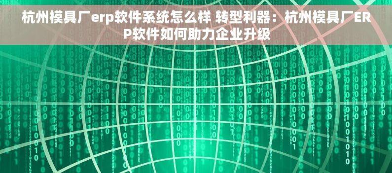 杭州模具厂erp软件系统怎么样 转型利器：杭州模具厂ERP软件如何助力企业升级