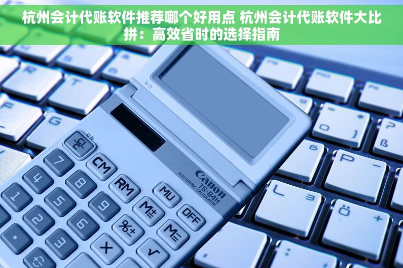 杭州会计代账软件推荐哪个好用点 杭州会计代账软件大比拼：高效省时的选择指南