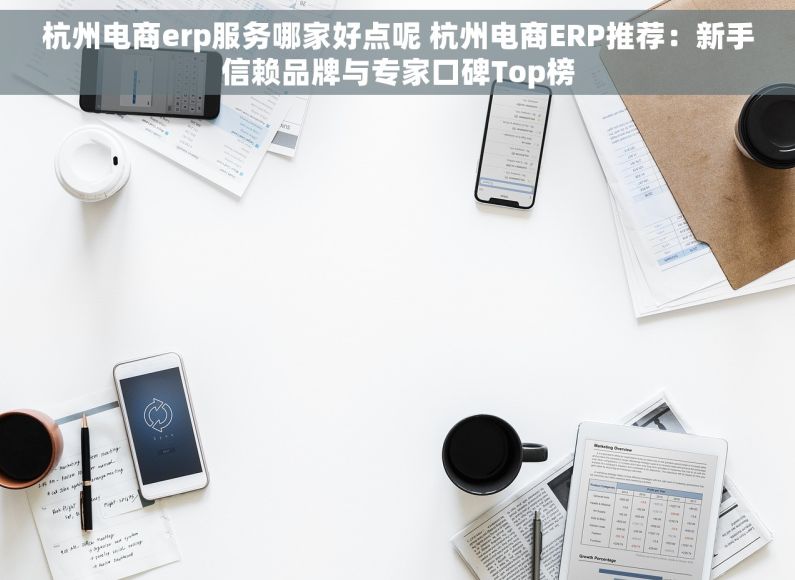 杭州电商erp服务哪家好点呢 杭州电商ERP推荐：新手信赖品牌与专家口碑Top榜