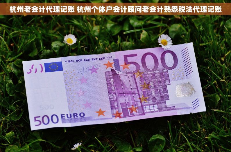 杭州老会计代理记账 杭州个体户会计顾问老会计熟悉税法代理记账