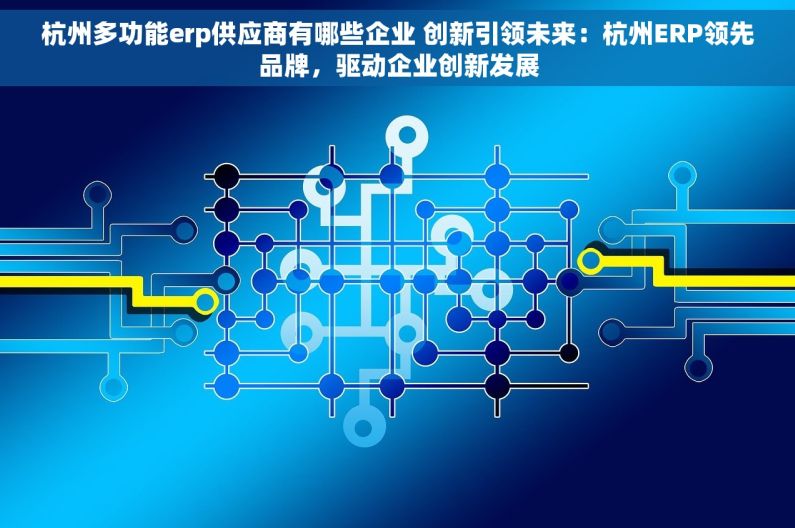 杭州多功能erp供应商有哪些企业 创新引领未来：杭州ERP领先品牌，驱动企业创新发展
