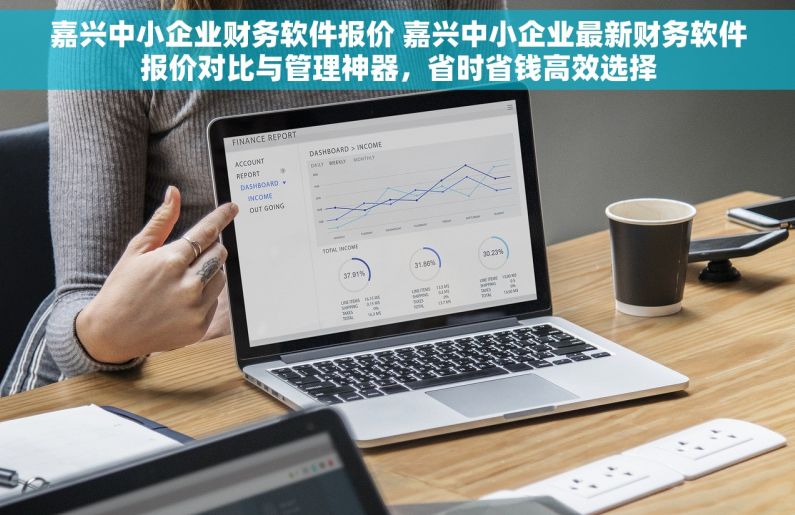 嘉兴中小企业财务软件报价 嘉兴中小企业最新财务软件报价对比与管理神器，省时省钱高效选择