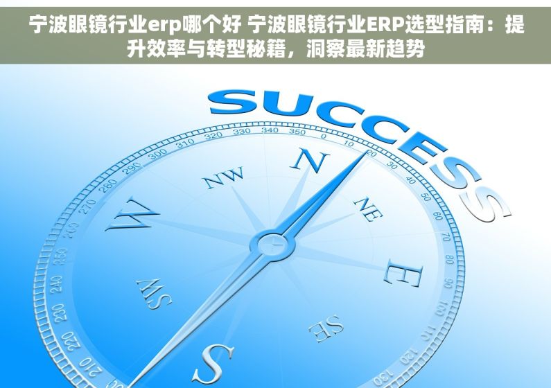 宁波眼镜行业erp哪个好 宁波眼镜行业ERP选型指南：提升效率与转型秘籍，洞察最新趋势