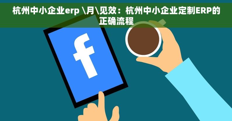 杭州中小企业erp \月\见效：杭州中小企业定制ERP的正确流程