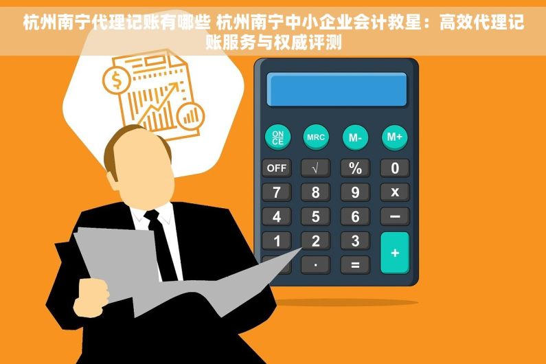 杭州南宁代理记账有哪些 杭州南宁中小企业会计救星：高效代理记账服务与权威评测
