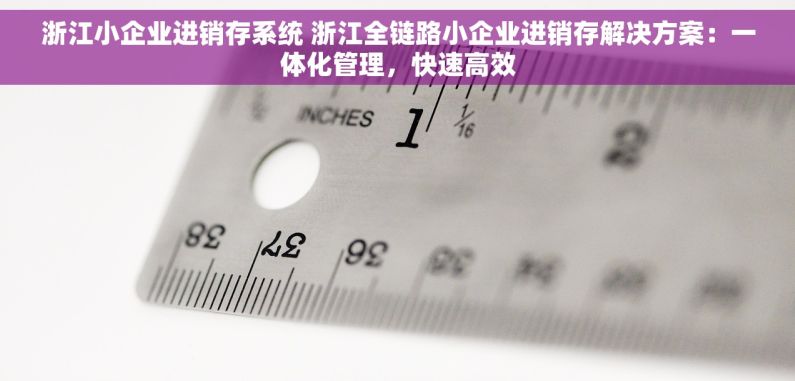 浙江小企业进销存系统 浙江全链路小企业进销存解决方案：一体化管理，快速高效