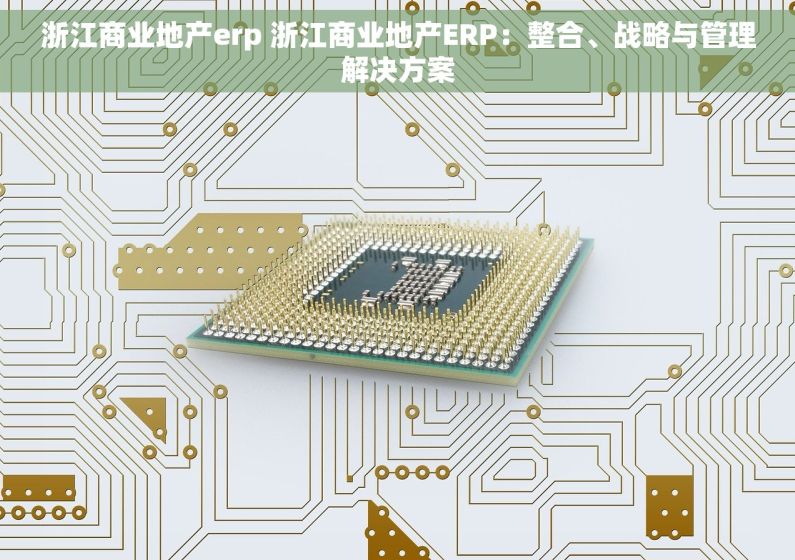 浙江商业地产erp 浙江商业地产ERP：整合、战略与管理解决方案