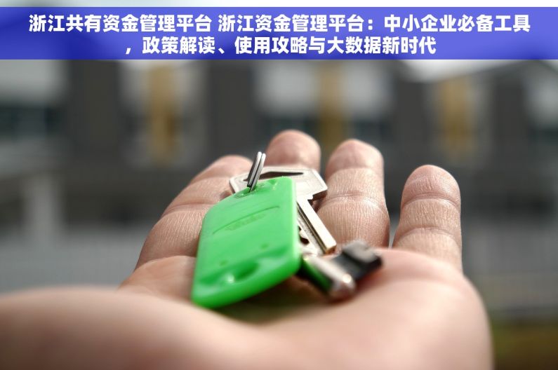 浙江共有资金管理平台 浙江资金管理平台：中小企业必备工具，政策解读、使用攻略与大数据新时代