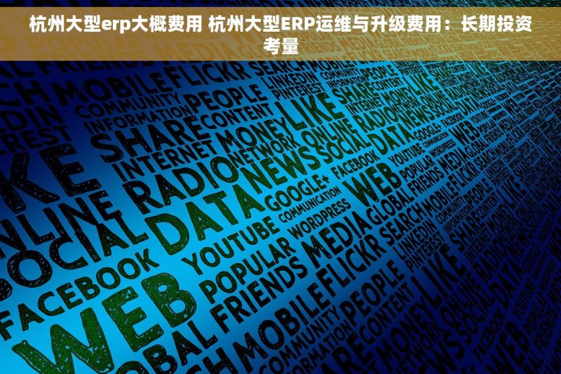 杭州大型erp大概费用 杭州大型ERP运维与升级费用：长期投资考量