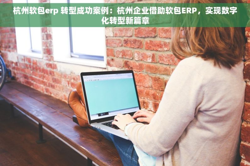杭州软包erp 转型成功案例：杭州企业借助软包ERP，实现数字化转型新篇章