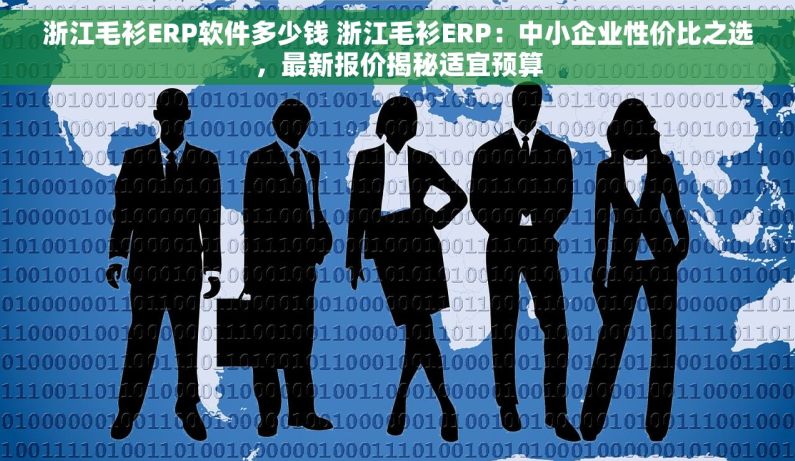 浙江毛衫ERP软件多少钱 浙江毛衫ERP：中小企业性价比之选，最新报价揭秘适宜预算