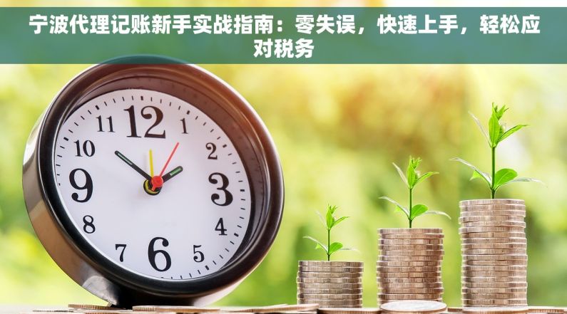 宁波代理记账新手实战指南：零失误，快速上手，轻松应对税务
