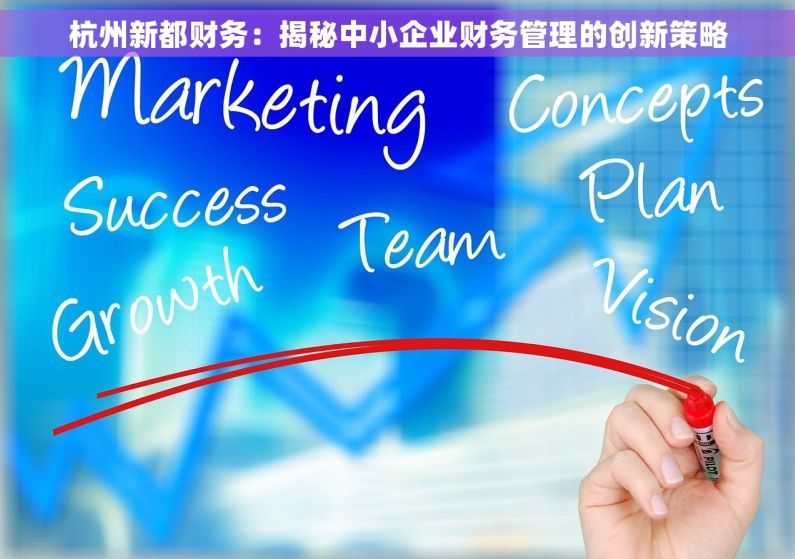 杭州新都财务：揭秘中小企业财务管理的创新策略
