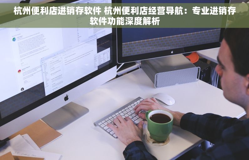 杭州便利店进销存软件 杭州便利店经营导航：专业进销存软件功能深度解析