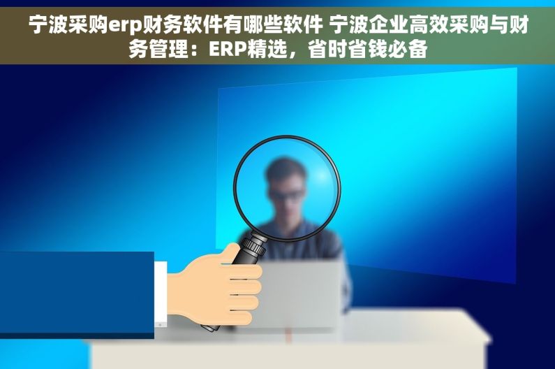 宁波采购erp财务软件有哪些软件 宁波企业高效采购与财务管理：ERP精选，省时省钱必备