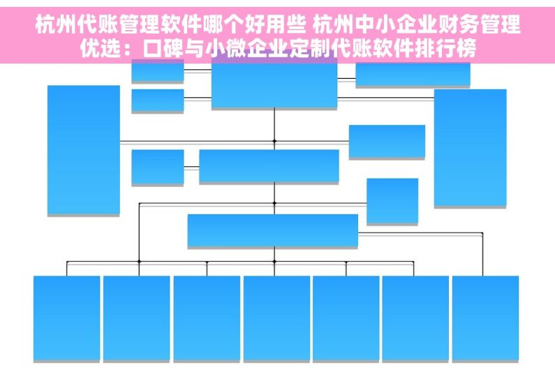 杭州代账管理软件哪个好用些 杭州中小企业财务管理优选：口碑与小微企业定制代账软件排行榜