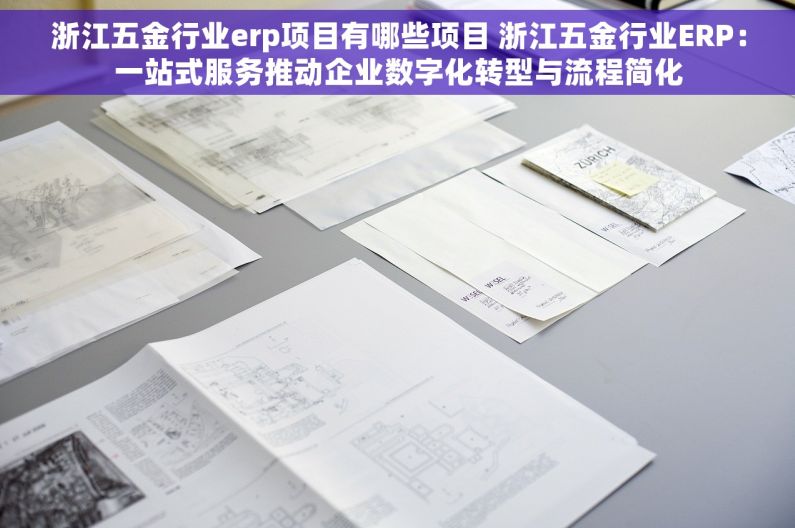 浙江五金行业erp项目有哪些项目 浙江五金行业ERP：一站式服务推动企业数字化转型与流程简化