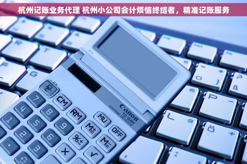 杭州记账业务代理 杭州小公司会计烦恼终结者，精准记账服务
