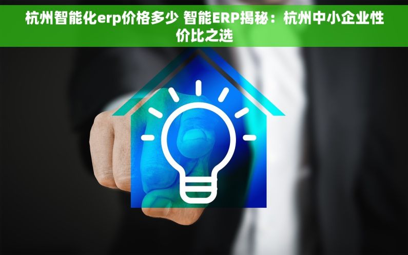 杭州智能化erp价格多少 智能ERP揭秘：杭州中小企业性价比之选
