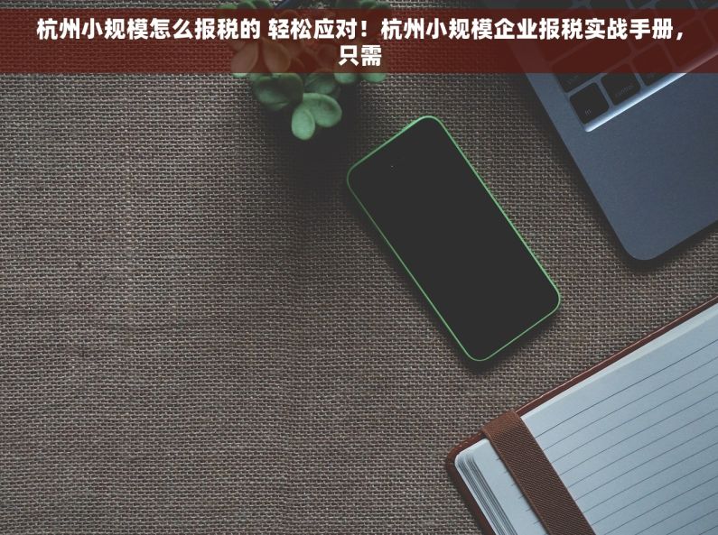 杭州小规模怎么报税的 轻松应对！杭州小规模企业报税实战手册，只需