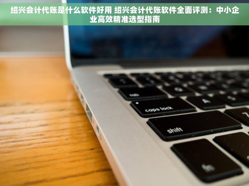 绍兴会计代账是什么软件好用 绍兴会计代账软件全面评测：中小企业高效精准选型指南