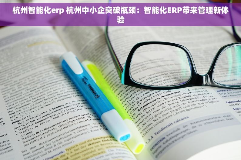 杭州智能化erp 杭州中小企突破瓶颈：智能化ERP带来管理新体验