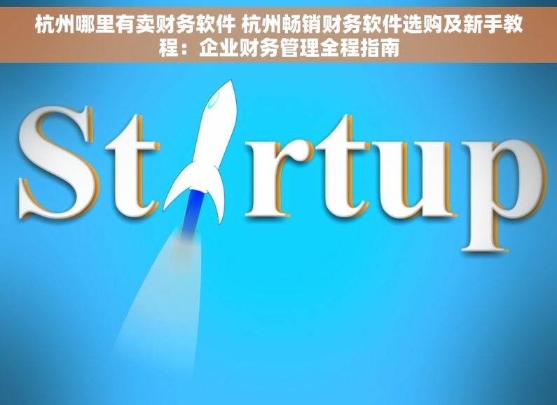 杭州哪里有卖财务软件 杭州畅销财务软件选购及新手教程：企业财务管理全程指南