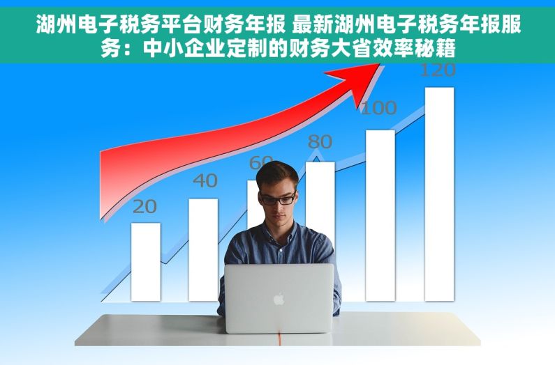 湖州电子税务平台财务年报 最新湖州电子税务年报服务：中小企业定制的财务大省效率秘籍