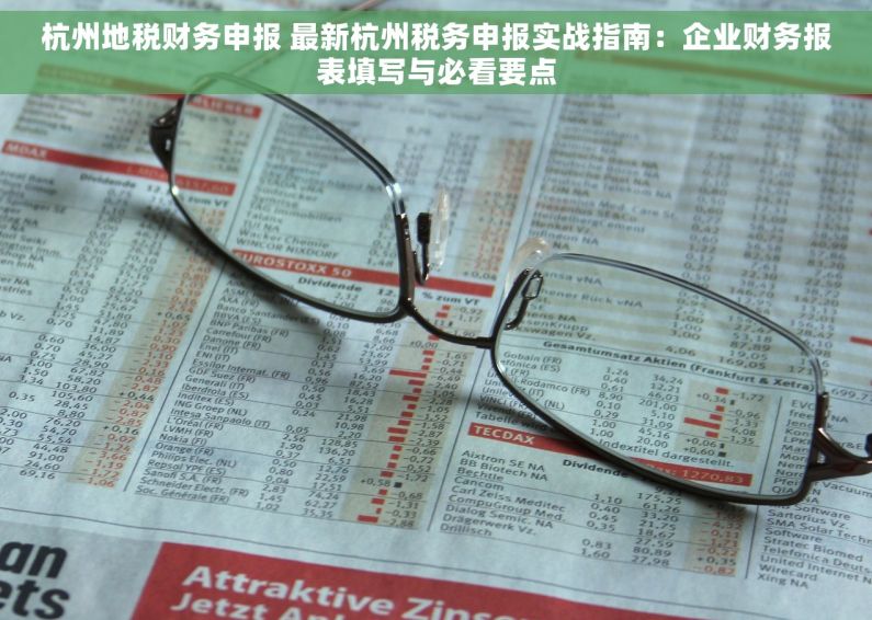 杭州地税财务申报 最新杭州税务申报实战指南：企业财务报表填写与必看要点