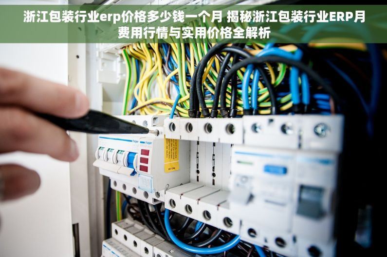 浙江包装行业erp价格多少钱一个月 揭秘浙江包装行业ERP月费用行情与实用价格全解析