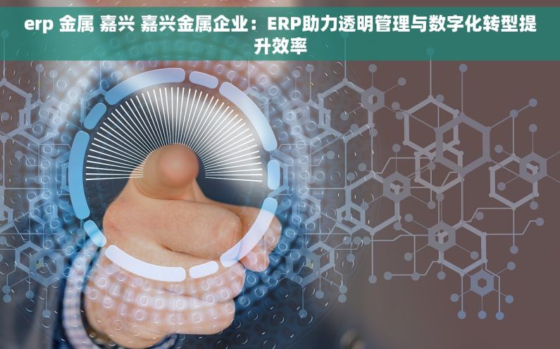 erp 金属 嘉兴 嘉兴金属企业：ERP助力透明管理与数字化转型提升效率