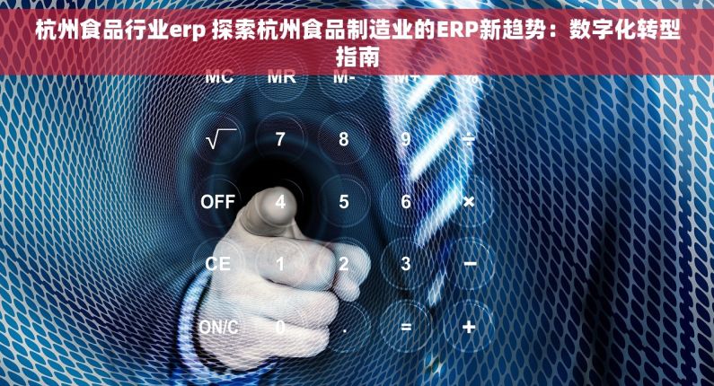 杭州食品行业erp 探索杭州食品制造业的ERP新趋势：数字化转型指南