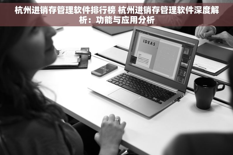 杭州进销存管理软件排行榜 杭州进销存管理软件深度解析：功能与应用分析