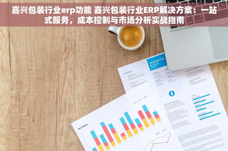 嘉兴包装行业erp功能 嘉兴包装行业ERP解决方案：一站式服务，成本控制与市场分析实战指南