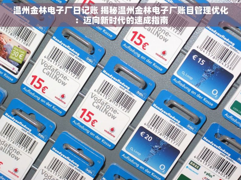 温州金林电子厂日记账 揭秘温州金林电子厂账目管理优化：迈向新时代的速成指南