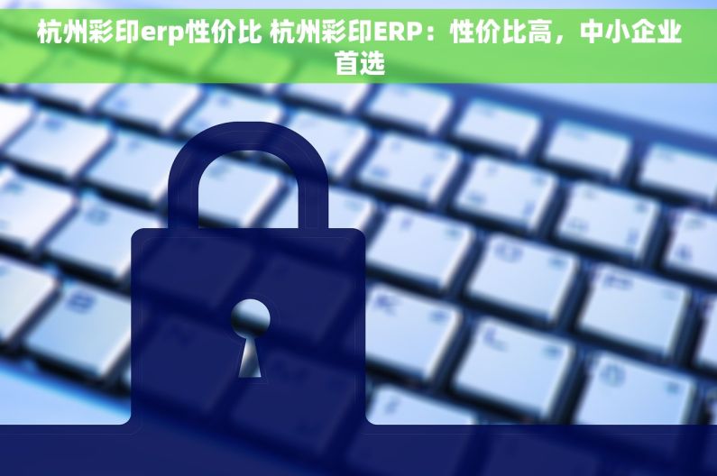 杭州彩印erp性价比 杭州彩印ERP：性价比高，中小企业首选