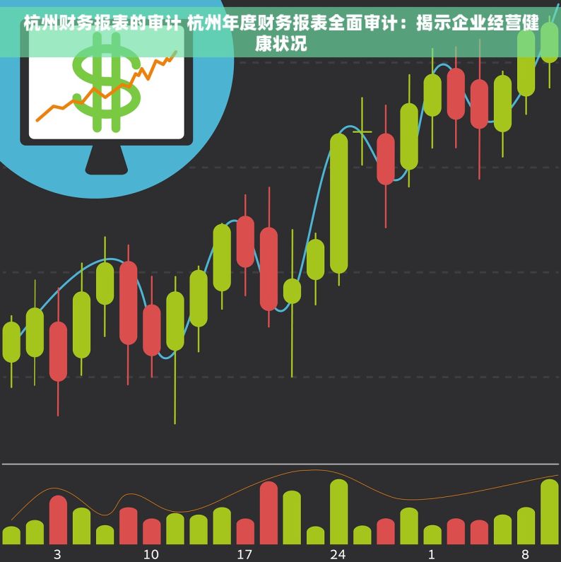 杭州财务报表的审计 杭州年度财务报表全面审计：揭示企业经营健康状况