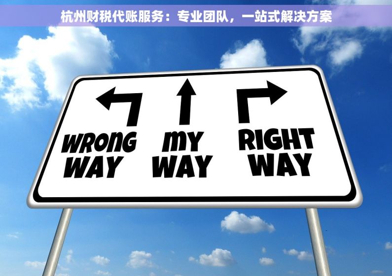 杭州财税代账服务：专业团队，一站式解决方案