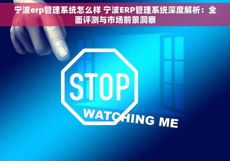 宁波erp管理系统怎么样 宁波ERP管理系统深度解析：全面评测与市场前景洞察