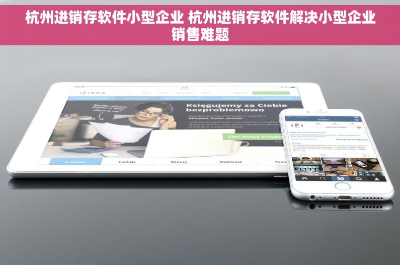 杭州进销存软件小型企业 杭州进销存软件解决小型企业销售难题