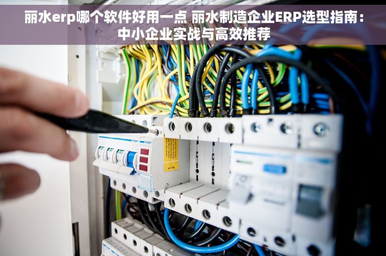 丽水erp哪个软件好用一点 丽水制造企业ERP选型指南：中小企业实战与高效推荐