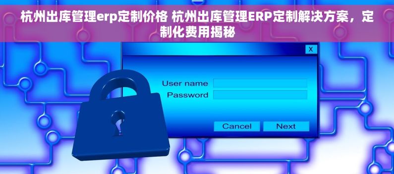 杭州出库管理erp定制价格 杭州出库管理ERP定制解决方案，定制化费用揭秘