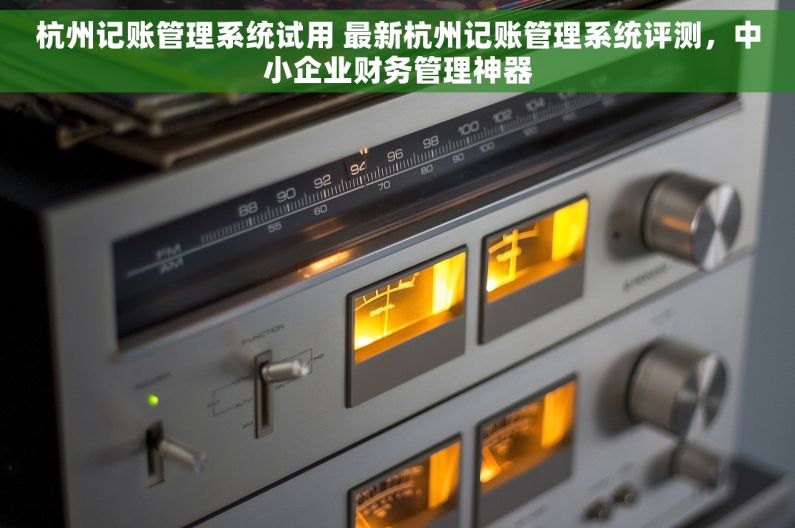 杭州记账管理系统试用 最新杭州记账管理系统评测，中小企业财务管理神器