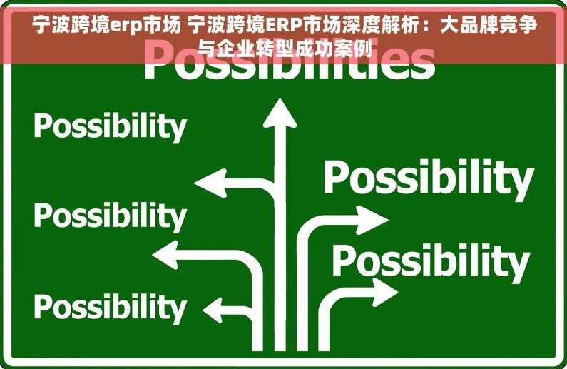 宁波跨境erp市场 宁波跨境ERP市场深度解析：大品牌竞争与企业转型成功案例