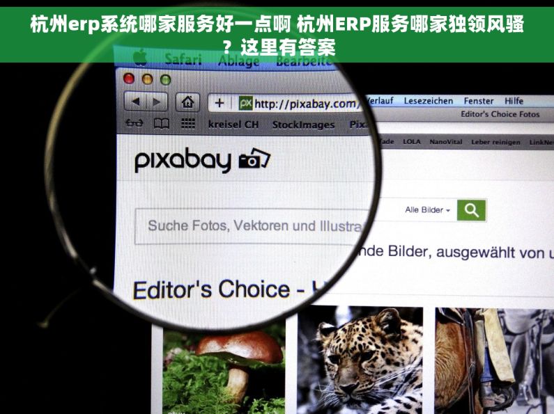 杭州erp系统哪家服务好一点啊 杭州ERP服务哪家独领风骚？这里有答案