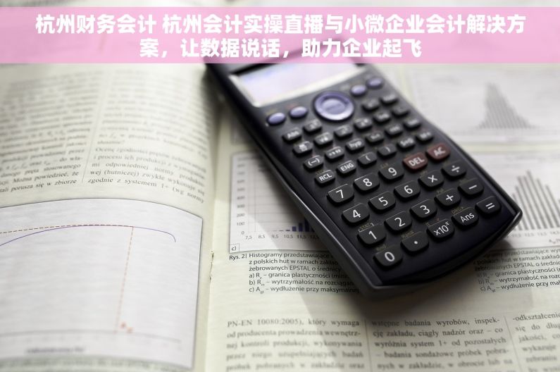杭州财务会计 杭州会计实操直播与小微企业会计解决方案，让数据说话，助力企业起飞