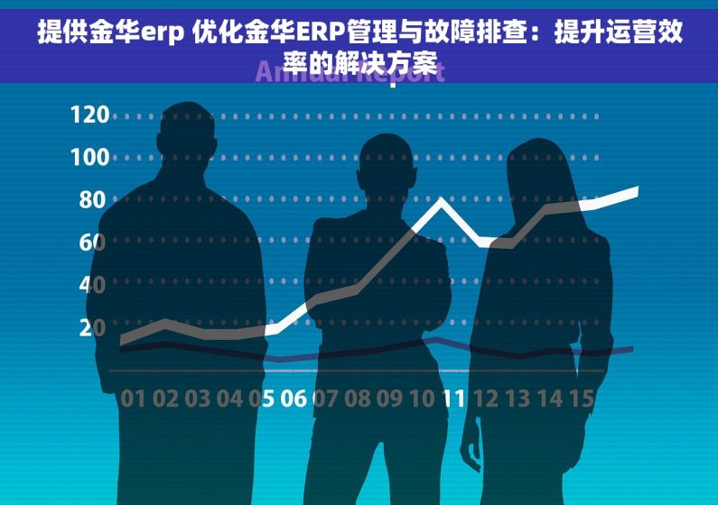 提供金华erp 优化金华ERP管理与故障排查：提升运营效率的解决方案
