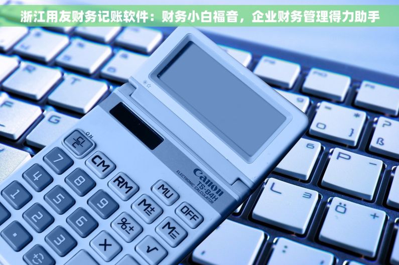 浙江用友财务记账软件：财务小白福音，企业财务管理得力助手
