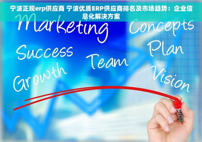 宁波正规erp供应商 宁波优质ERP供应商排名及市场趋势：企业信息化解决方案