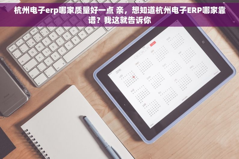 杭州电子erp哪家质量好一点 亲，想知道杭州电子ERP哪家靠谱？我这就告诉你